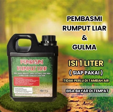 cara mematikan rumput liar secara permanen 4