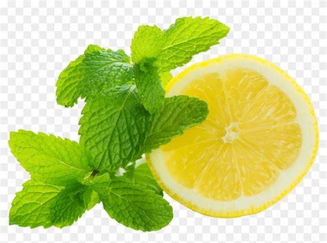 Lemon Mint Png Transparent Png X Pngfind