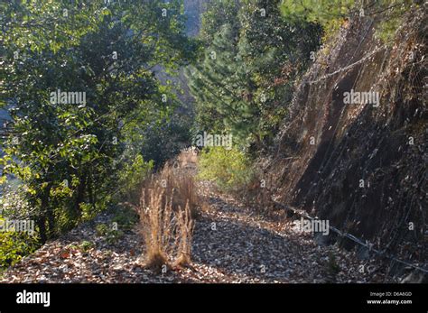 Haisen hi-res stock photography and images - Alamy