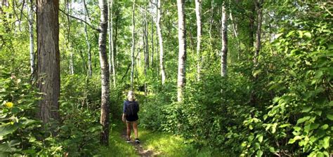 Lake Metigoshe State Park | North Dakota Parks and Recreation