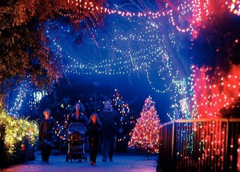 Zoo lights delight