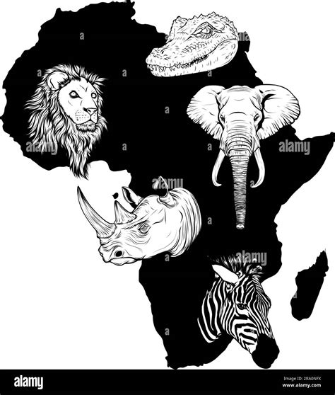 African Animal Set Black Vector Silhouette Collection Of Various