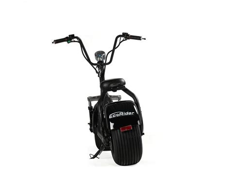 Ecorider Eec Certificate Citycoco Lt Two Wheel Electric Scooter