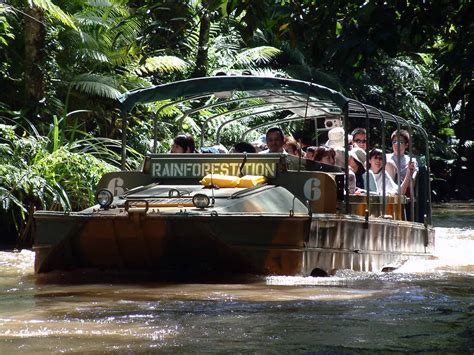 Exploring Cairns in Five Days (+ things to do!) - Sophie's Suitcase