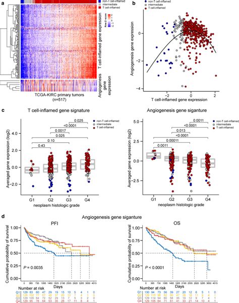 Landscape Of T Cell Inflamed And Angiogenesis Gene Signature Expression