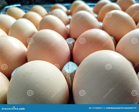 Group Of Brown Eggs On A Eggtray Chiken Stock Image Image Of Group