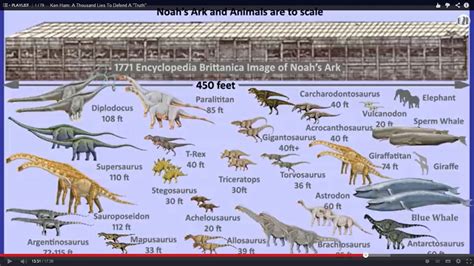 Can You Explain The Disappearing Of The Dinosaurs And Why Were No