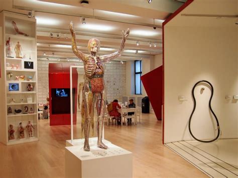 Wellcome Collection London Best Museum You Dont Know About