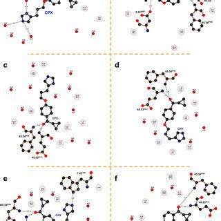 Ciproxifan Binding Modes D Binding Mode Of Ciproxifan Within The H