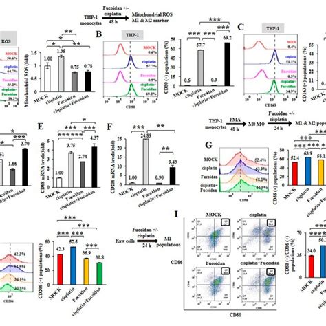 Cisplatin And Or Oligo Fucoidan Treatment Directly Affect Macrophage