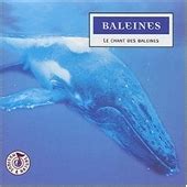 Baleines Bali Les Chants Des Baleines