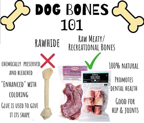 Rawhide is not a bone | Animal nutrition, Dental health, Dental