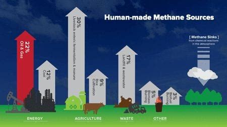 What Is Methane And Why Does It Matter MiQ