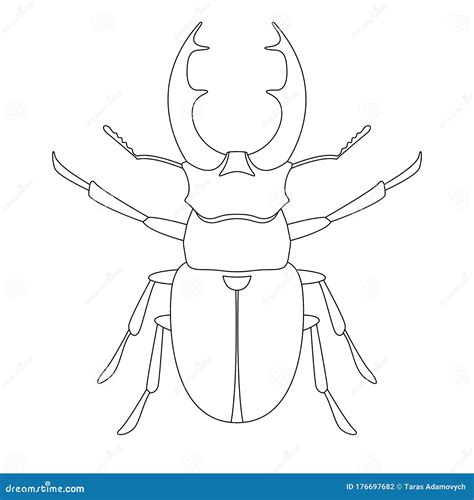 Deer Beetle Side View Drawing With Black Lines Marker Line Art