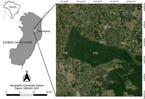 SciELO Brasil - Floristic and structural variations in Lowland Atlantic ... 