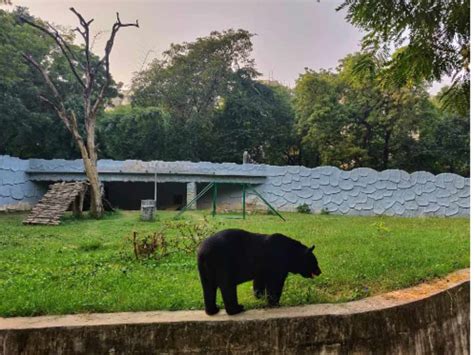 Kanpur Zoo To Moti Jheel: 5 Best Places To Visit In Kanpur