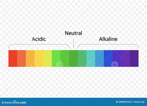 The Ph Scale Universal Indicator Ph Color Chart Diagram Vector