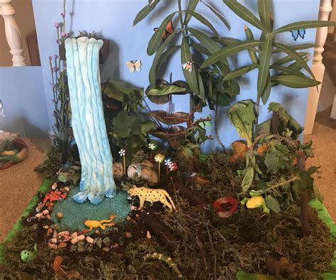 Tropical Rainforest Ecosystem Diorama 13 Steps With Pictures