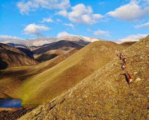 Andes Hunting Lodge | Catena Safaris Argentina