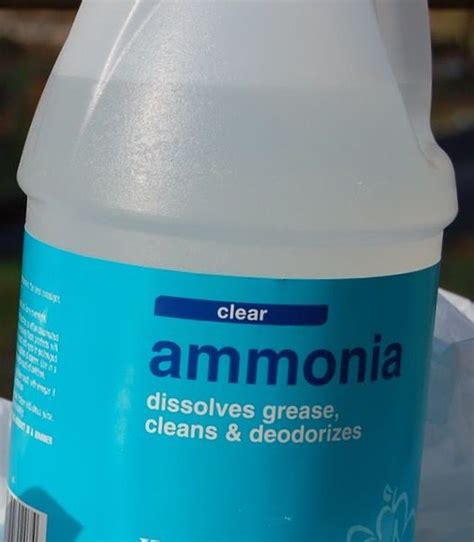 'Ammonia Cleaning Made Easy...!' (via The Spruce) What To Use, Cleaning ...