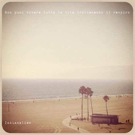 Stream Le Spalle Nude Delle Violoncelliste By Indianalien Listen Online For Free On Soundcloud