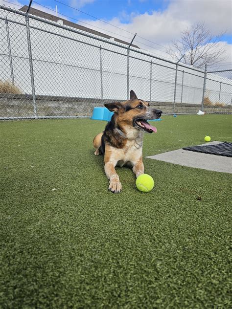PET PALACE - CLEVELAND EAST - Cleveland OH - Hours, Directions, Reviews