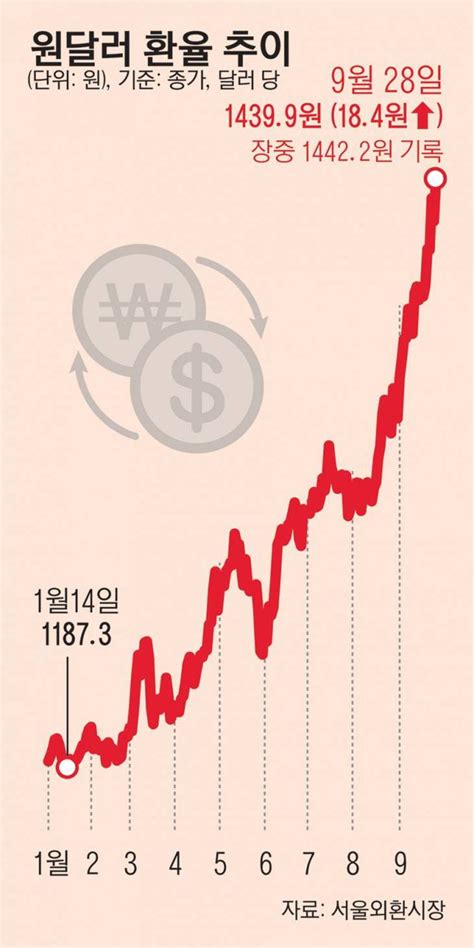 코스피 2년2개월만에 종가 2200선 붕괴환율 장중 1440원 돌파 네이트 뉴스