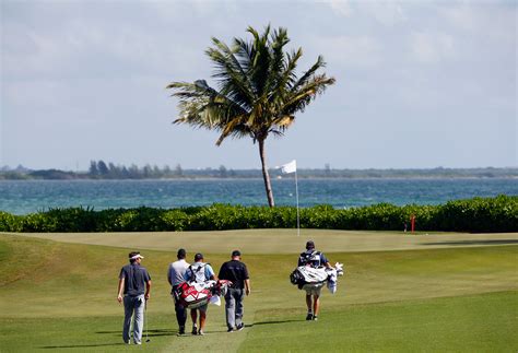 Mayakoba Golf: All About the PGA Tour Event