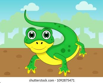 846 Newt drawing Images, Stock Photos & Vectors | Shutterstock