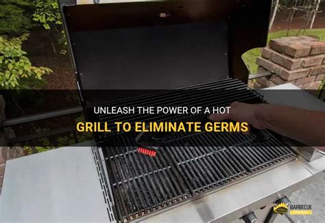 Unleash The Power Of A Hot Grill To Eliminate Germs ShunGrill
