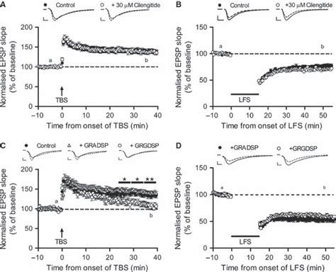 Cilengitide Did Not Affect Ltp Or Ltd Whereas Synthetic Rgd Peptide Download Scientific Diagram