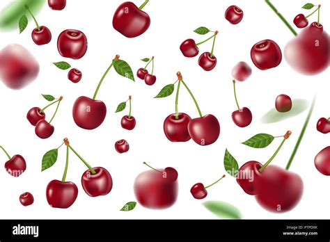 Falling Realistic Ripe Cherry Elements Realistic Red Cherry With