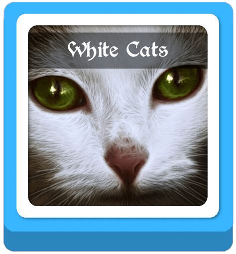 Warrior Cats Name Generator Imagine Forest