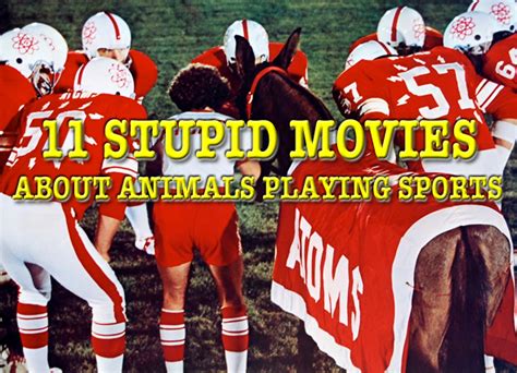 11 Stupid Movies About Animals Playing Sports | Total Pro Sports