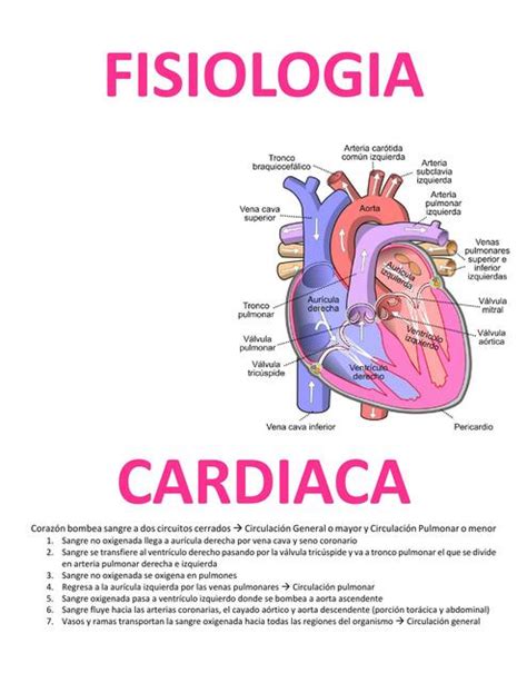 Corazon UDocz