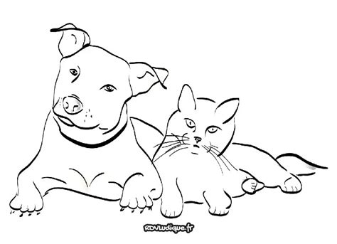 Coloriage Chat Dessin Chat A Imprimer 8 Rdvludique