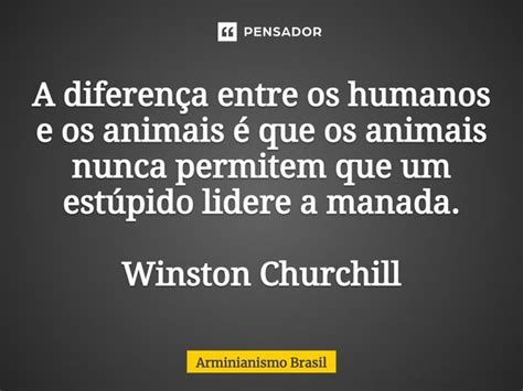 ⁠a Diferença Entre Os Humanos E Os Arminianismo Brasil Pensador