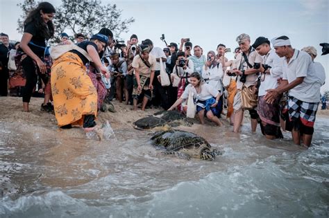 World Water Forum 2024 Dihadiri 50 Ribu Wisatawan Berikan Destination