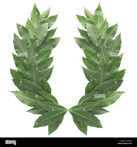 Laurel Wreath Hi Res Stock Photography And Images Alamy