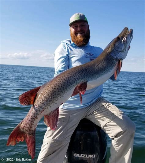 World Record Muskie 2022