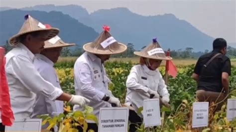 Mentan Minta Serang Jadi Pusat Benih Kedelai Produktivitas Tinggi