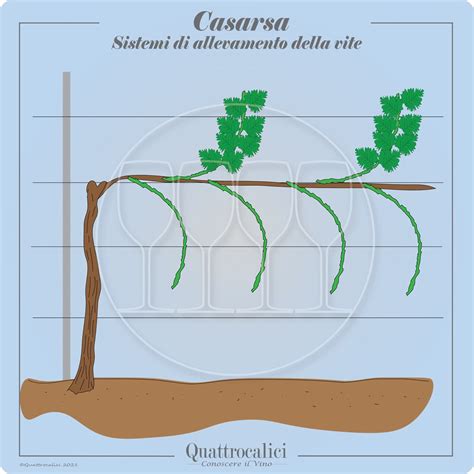 Fai Tutto Con Il Mio Potere Inerzia Investigatore Allevamento Pergola