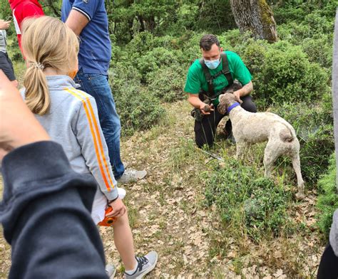 Truffle Hunting at Meteora: First dates announcement for individual ...