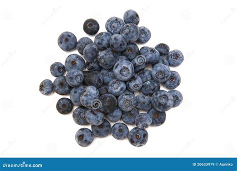 Bilberries stock image. Image of huckleberries, berries - 20633979