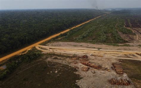 One Third Of Amazon Rainforest Damaged By Human Activity And Drought