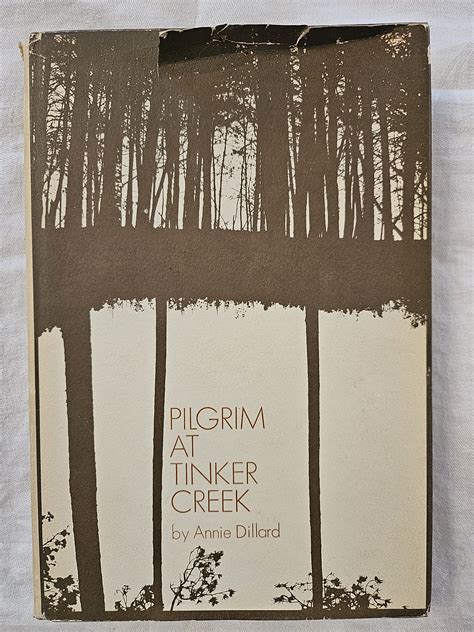 Pilgrim At Tinker Creek 6