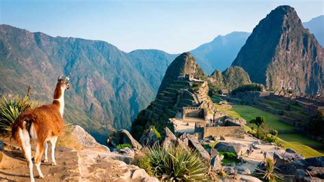 Paquetes Y Tours A Machu Picchu Andino Peru Tours