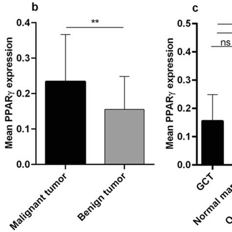 The Assessed Pparγ Mrna Expression Levels In Primary Bone Tumors The