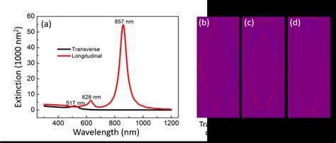 A The Extinction Spectrum Of The Au NBP When The Excitation Light Is