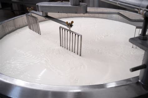 Cheese Making Process Freshly Fermented Milk On During Production